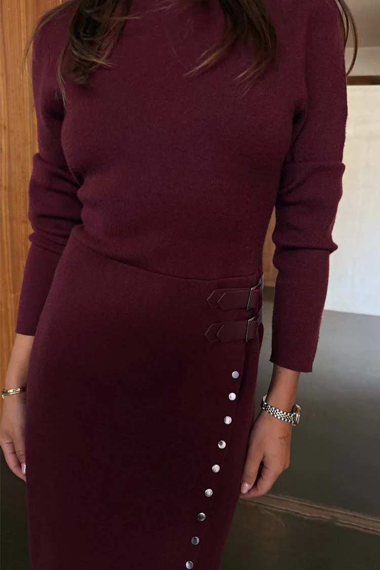 Burgundy Stud Sammie Mini Dress - Image 5
