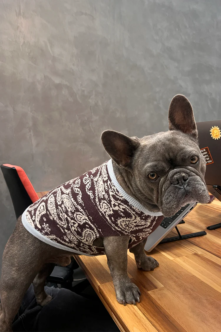 Chocolate Bandana Dog Jumper - Image 2