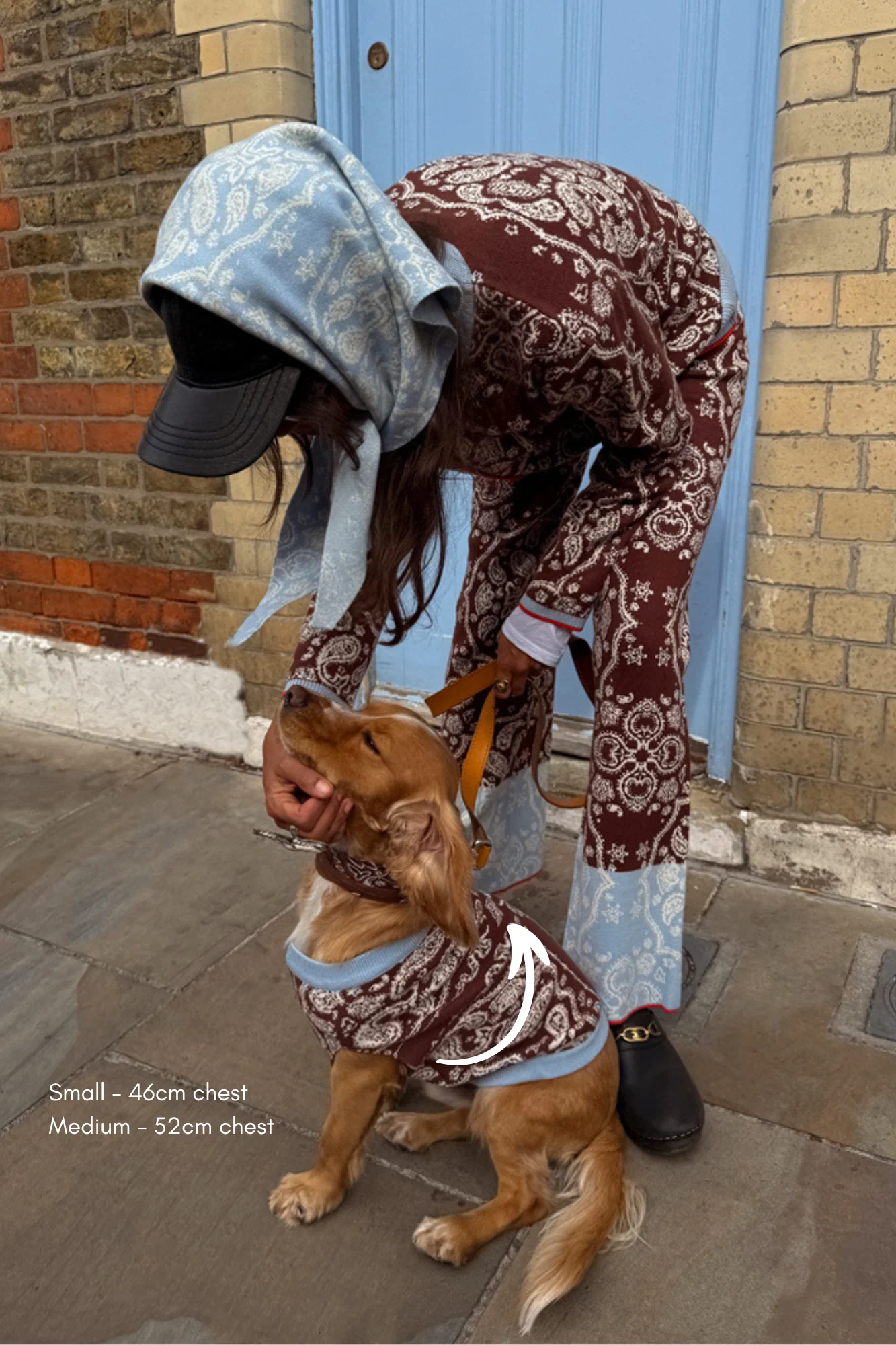 Chocolate Bandana Dog Jumper - Image 3