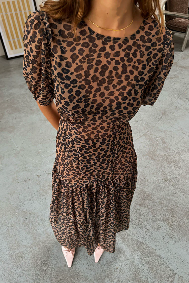 Leopard Lucia Dress - Image 4