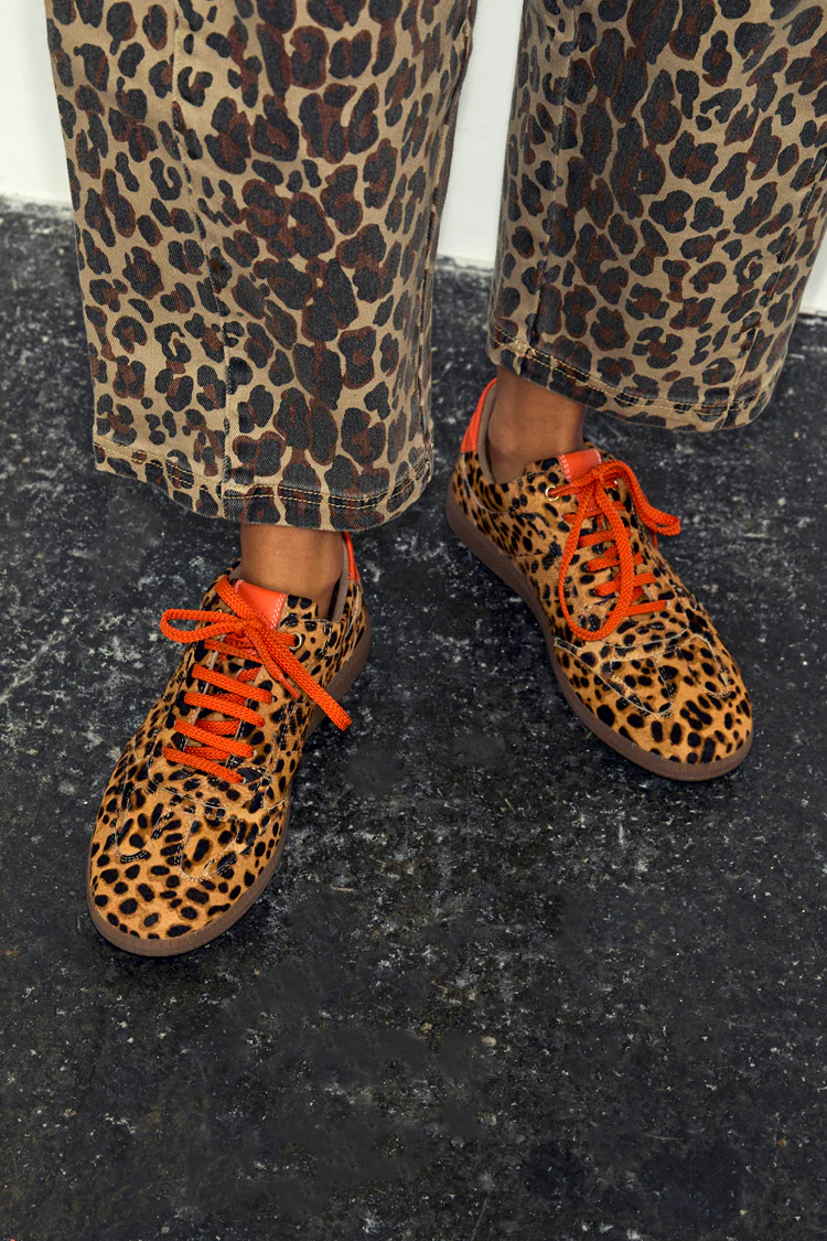 Leopard Pony Trainer - Image 4