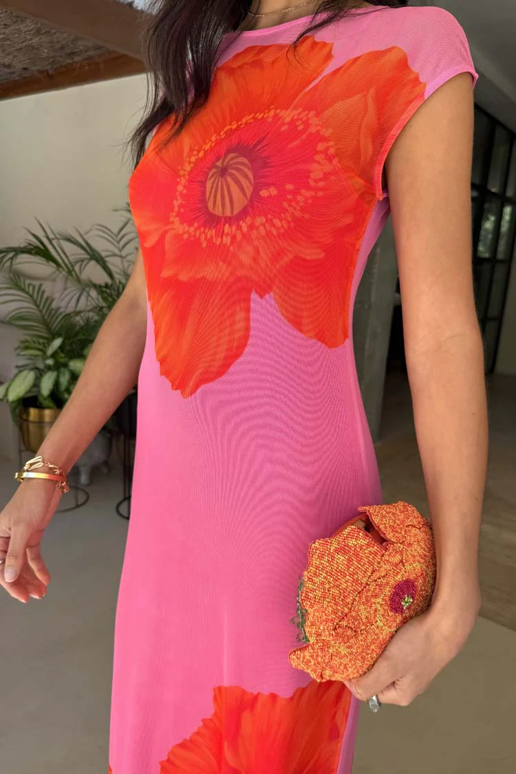 Pink Poppy Sleeveless Mesh Dress - Image 3