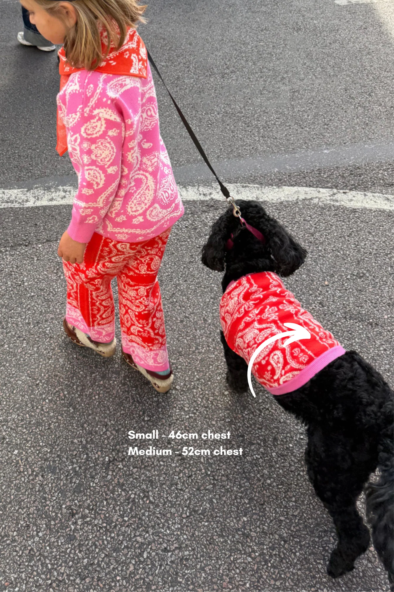 Red and Pink Bandana Dog Jumper - Image 2