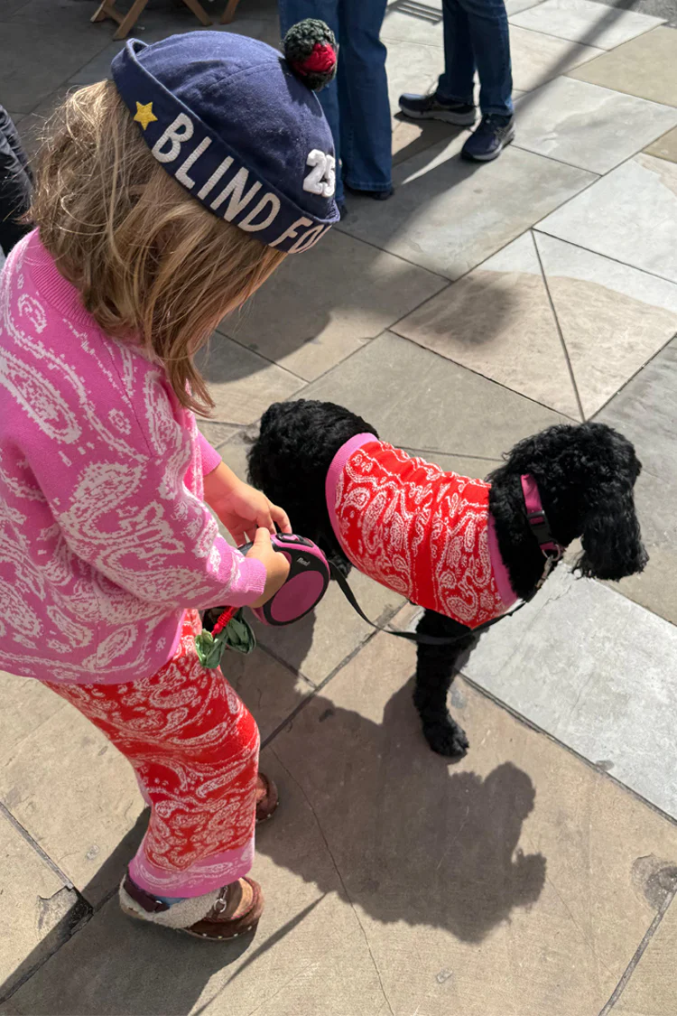 Red and Pink Bandana Dog Jumper - Image 4
