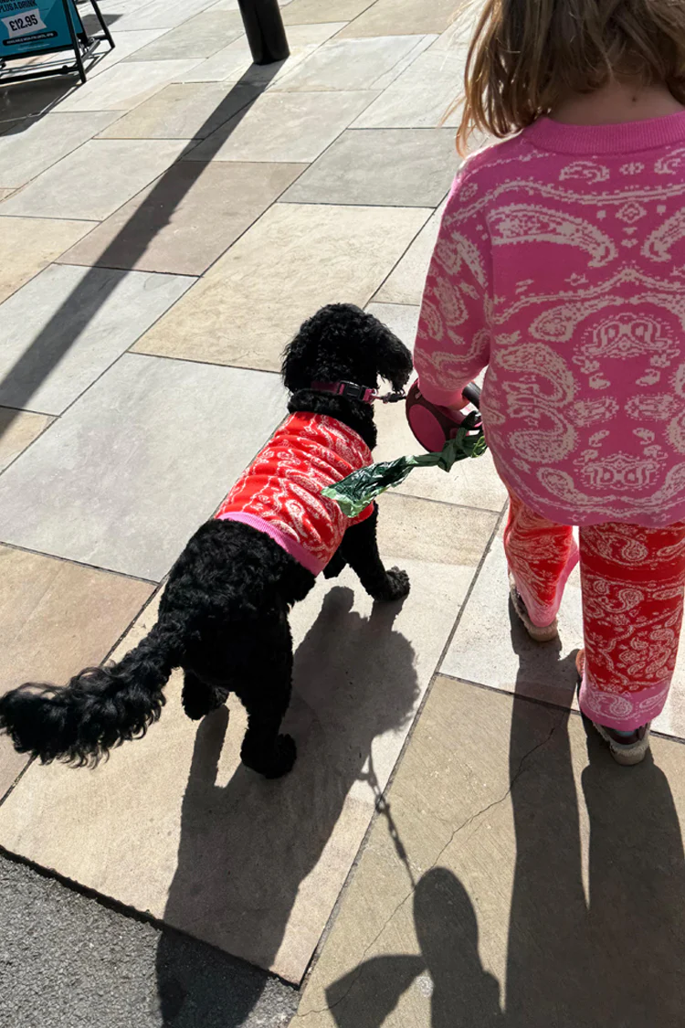Red and Pink Bandana Dog Jumper - Image 5