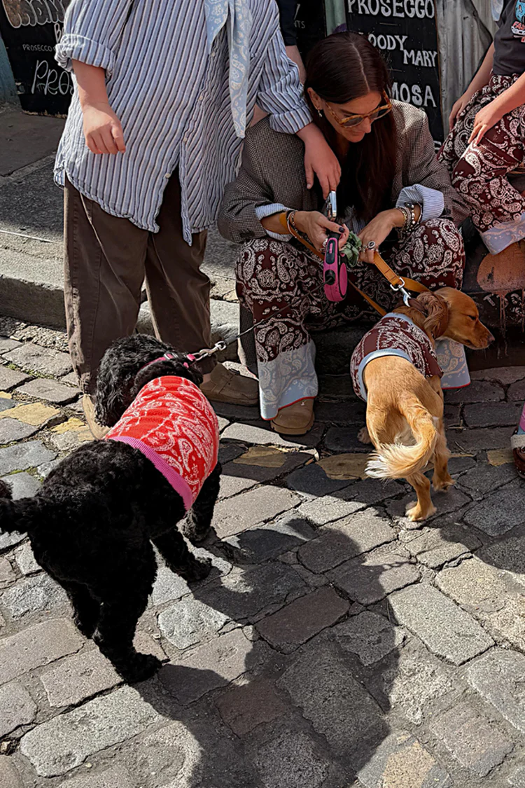 Red and Pink Bandana Dog Jumper - Image 6