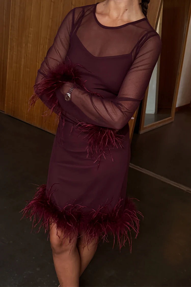 Wine Mesh Feather Mini Dress - Image 2
